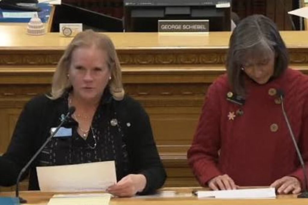 Colorado legislators Meg Froelich and Tammy Story present HB26-1309, Abuse in Cases of Separation, at the state capitol