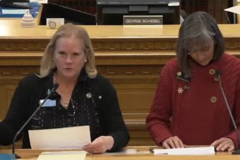 Colorado legislators Meg Froelich and Tammy Story present HB26-1309, Abuse in Cases of Separation, at the state capitol