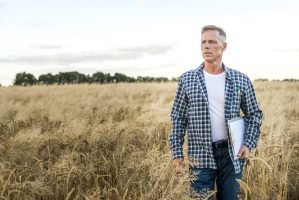 man-wheat-field-looking-away